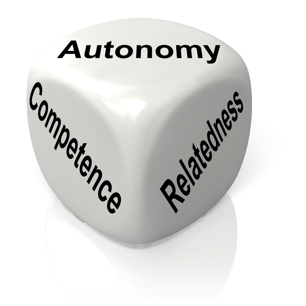 Autonomy Relatedness Competence