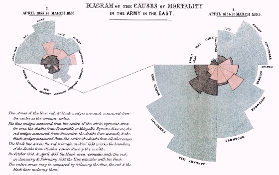 Florence Nightingale Data Visualization
